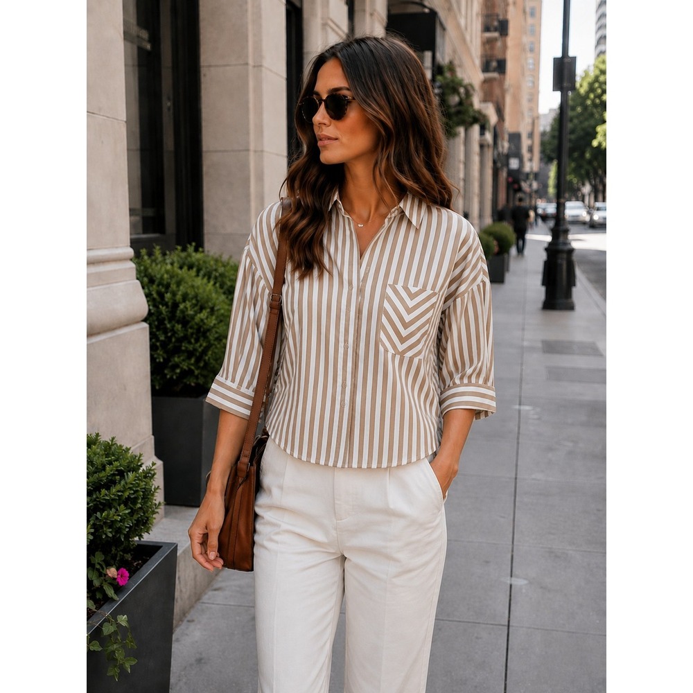 Rag & Bone Lucia Stripe Cotton Poplin Button-Up Brown/White Vertical Stripe XS
